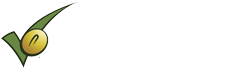 United Soybean