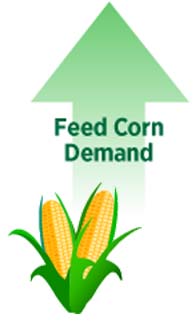 Corn Demand Rising